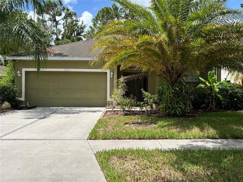 12113 COLONY LAKES BLVD NEW PORT RICHEY FL 34654