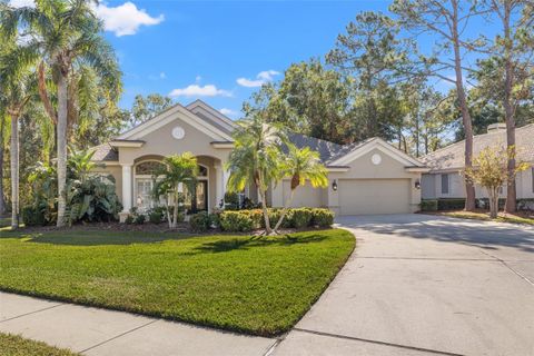 A home in TARPON SPRINGS