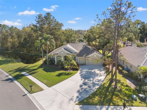 A home in TARPON SPRINGS