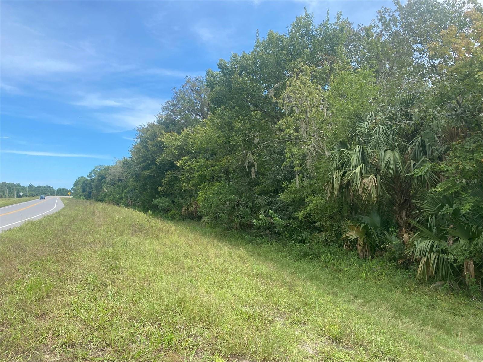 CANAVERAL GROVES SUB - Land