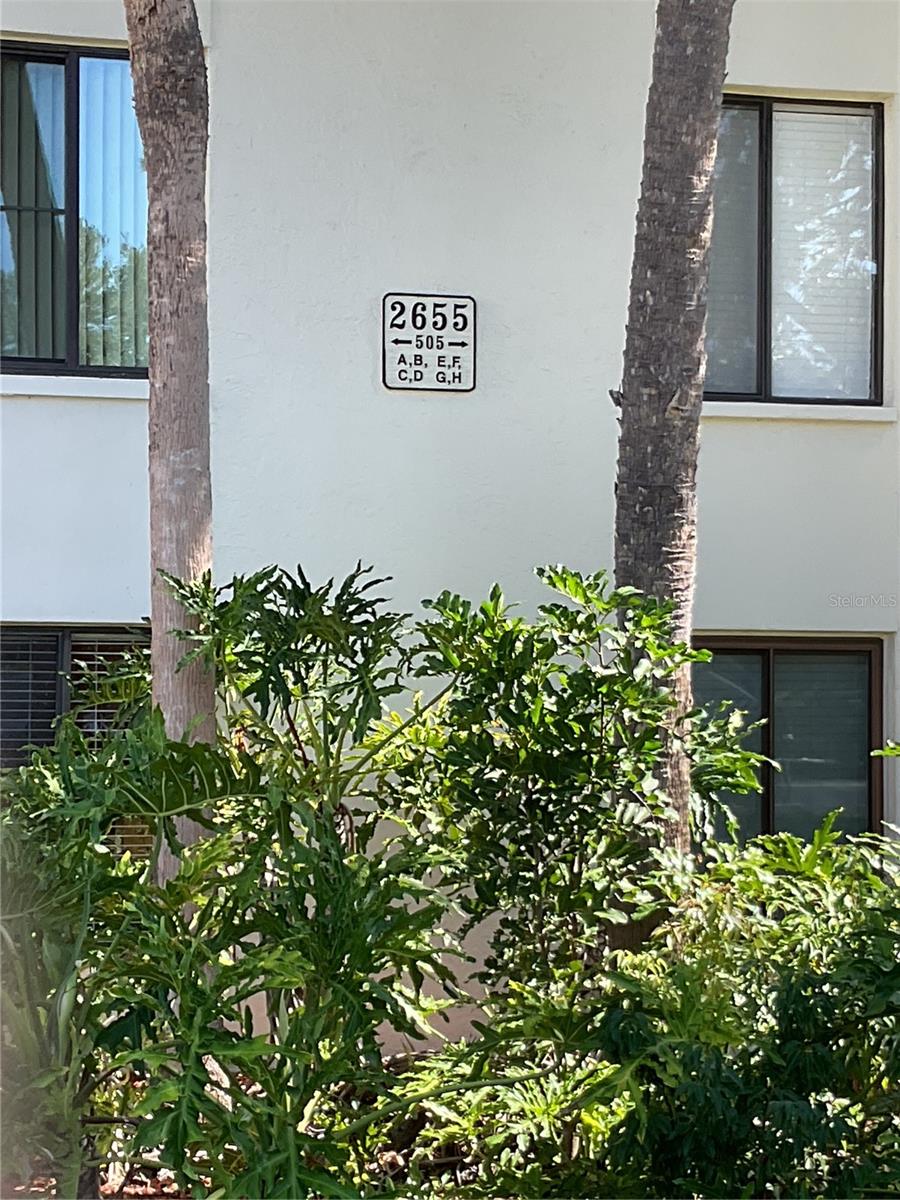 Photo of 2655 Pine Ridge Way N #D3, Palm Harbor, FL 34684 (MLS # W7886861)