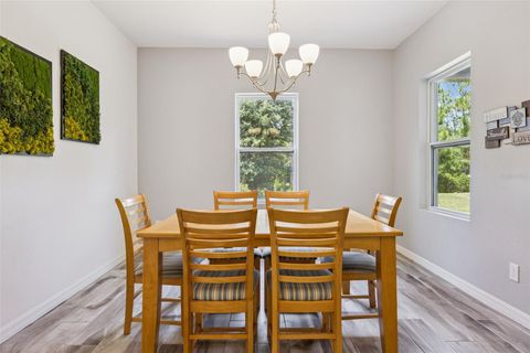Tiny photo for 17660 Passionflower Circle, Clermont, FL 34714 (MLS # O6404594)
