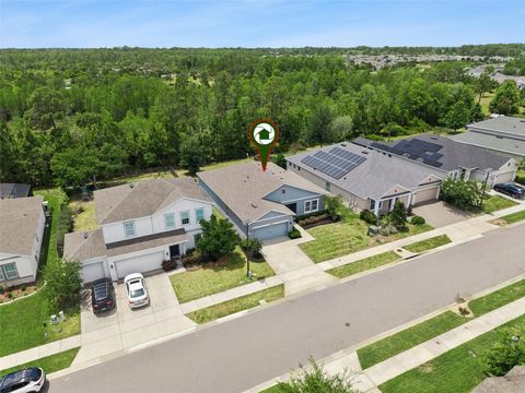 Tiny photo for 17660 Passionflower Circle, Clermont, FL 34714 (MLS # O6404594)