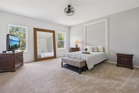 Tiny photo for 17660 Passionflower Circle, Clermont, FL 34714 (MLS # O6404594)