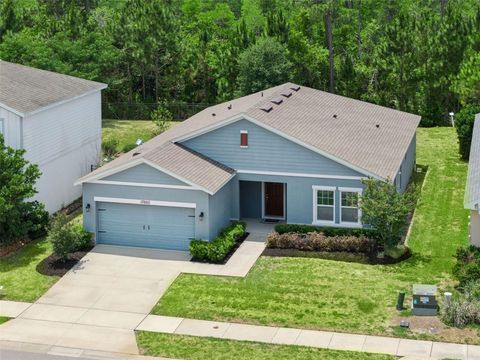 Tiny photo for 17660 Passionflower Circle, Clermont, FL 34714 (MLS # O6404594)