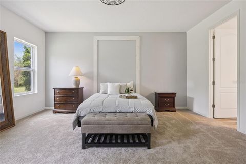 Tiny photo for 17660 Passionflower Circle, Clermont, FL 34714 (MLS # O6404594)