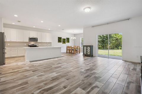 Tiny photo for 17660 Passionflower Circle, Clermont, FL 34714 (MLS # O6404594)
