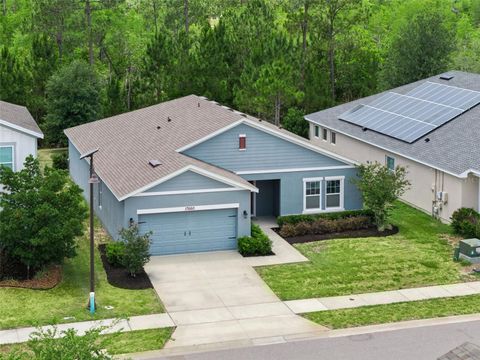 Tiny photo for 17660 Passionflower Circle, Clermont, FL 34714 (MLS # O6404594)