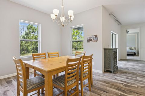 Tiny photo for 17660 Passionflower Circle, Clermont, FL 34714 (MLS # O6404594)