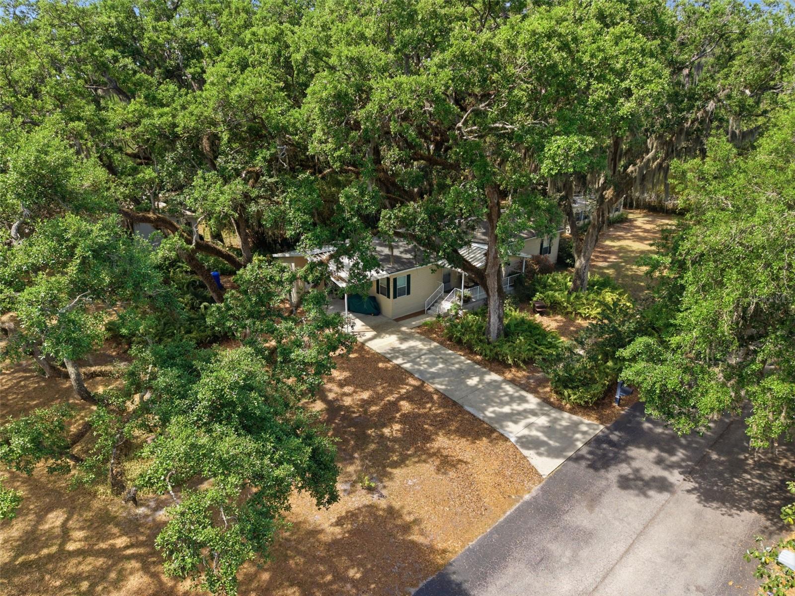 TEMPLE TERRACE WOODS - Residential