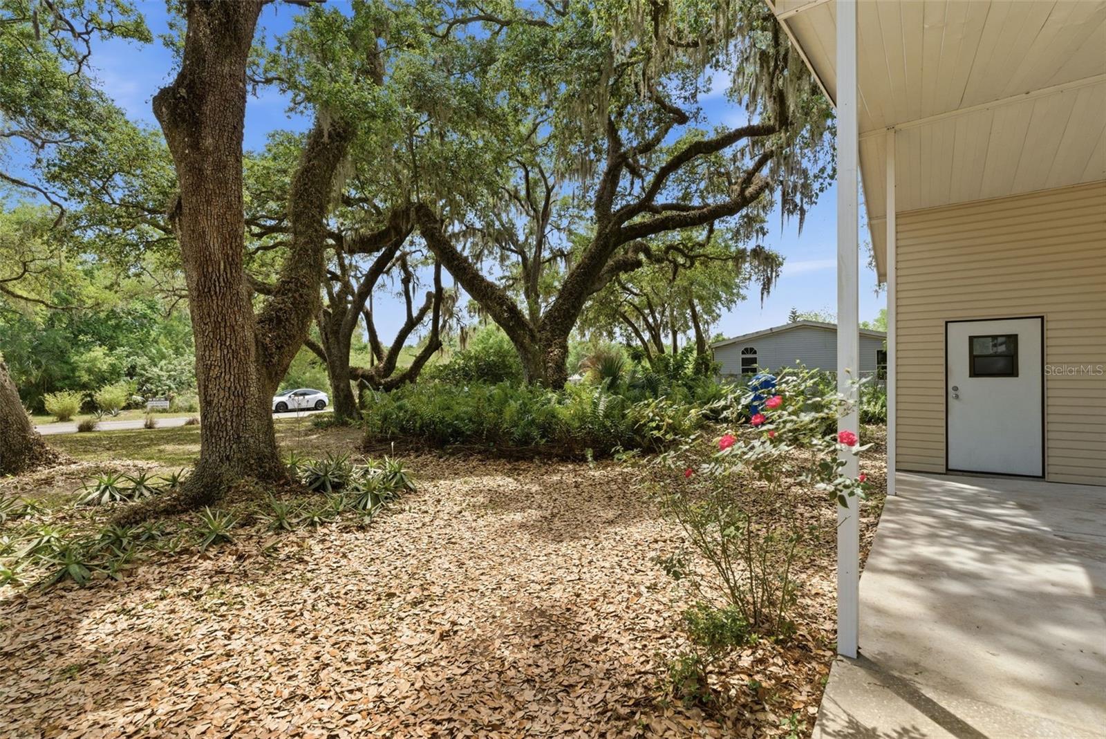 TEMPLE TERRACE WOODS - Residential