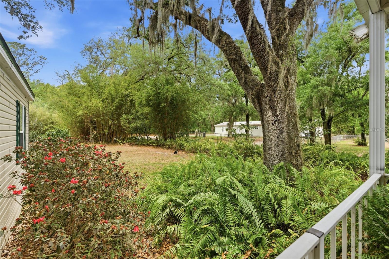 TEMPLE TERRACE WOODS - Residential