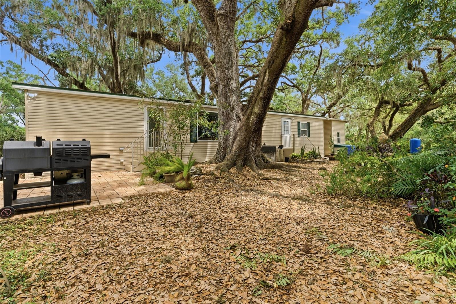 TEMPLE TERRACE WOODS - Residential