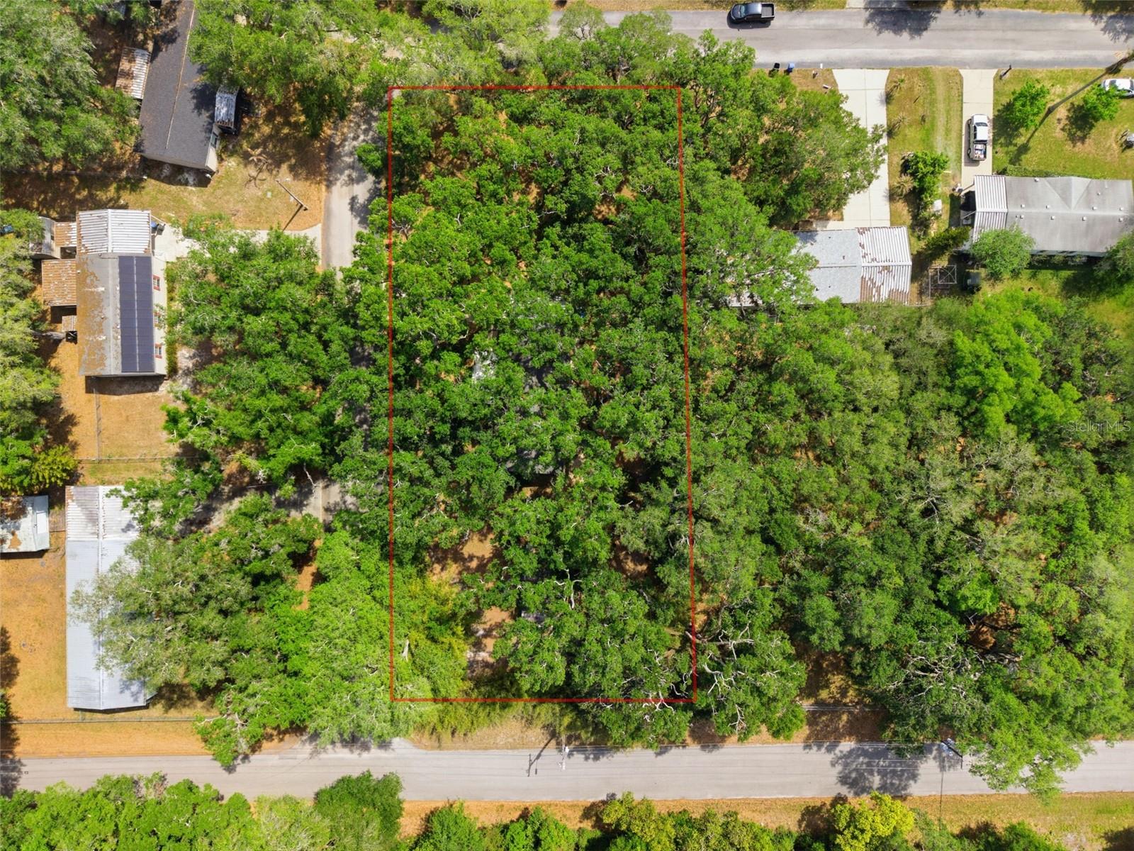 TEMPLE TERRACE WOODS - Residential