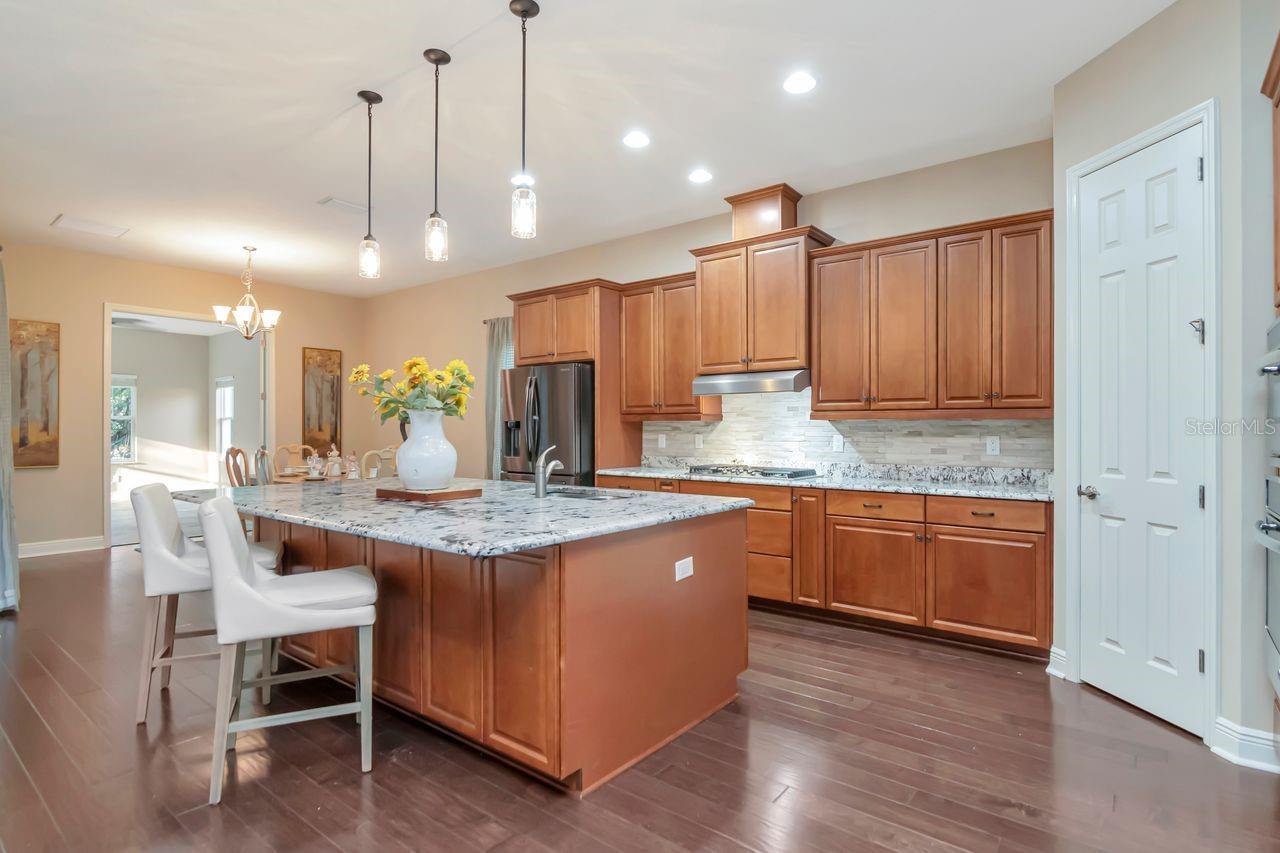 LAKESHORE RANCH PH I - Residential