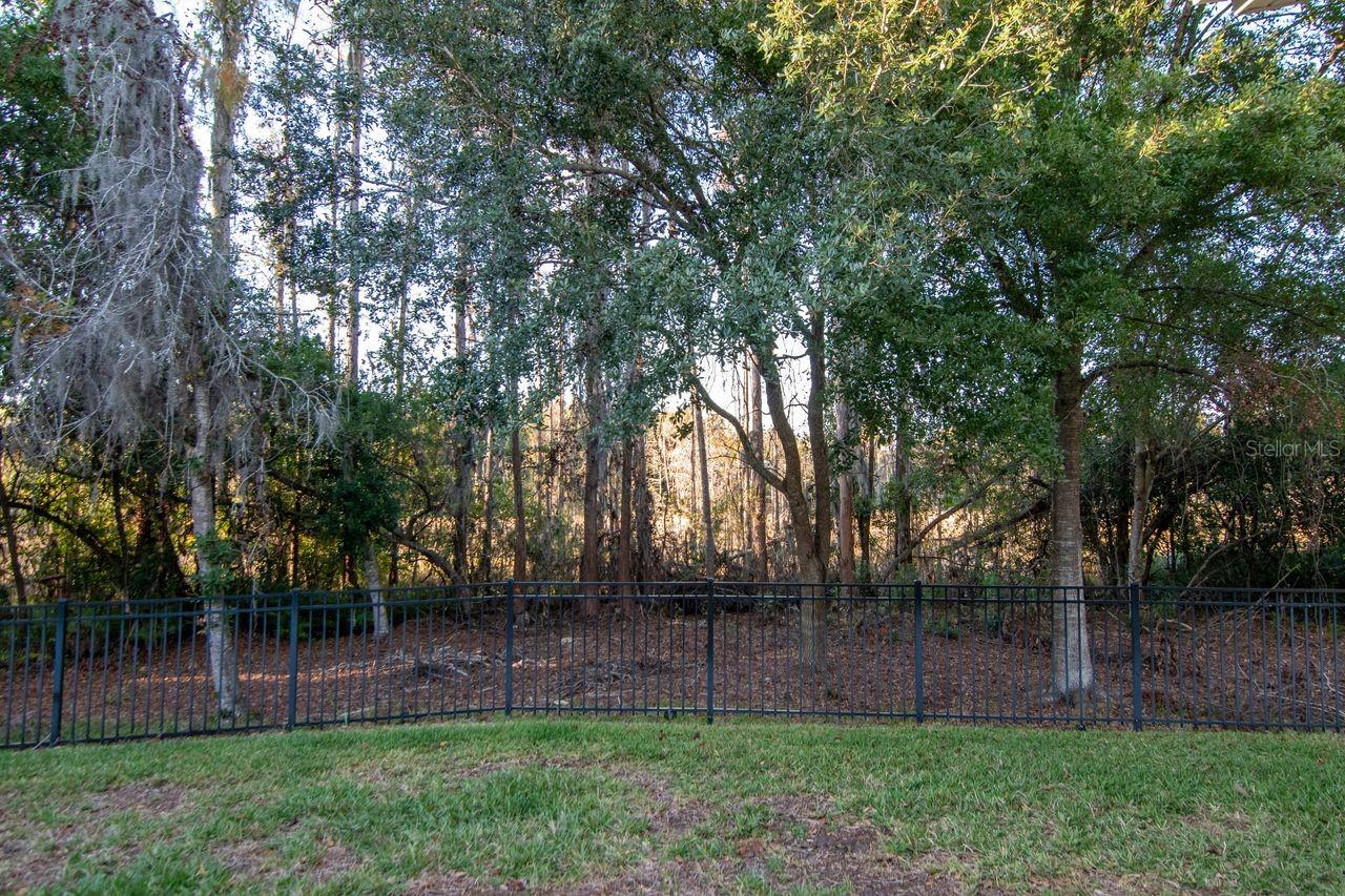 LAKESHORE RANCH PH I - Residential