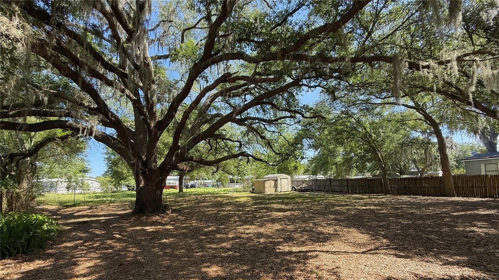 ROLLINGLEN PH 01 - Residential