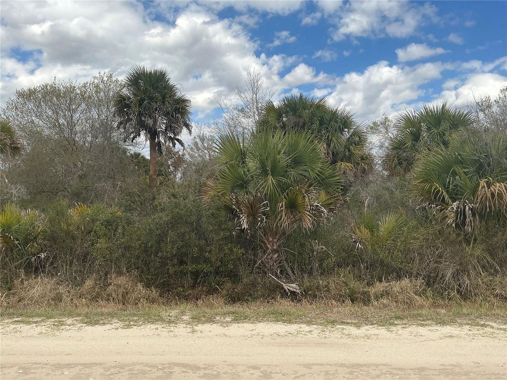 Photo of 20639 NW 300th Street, Okeechobee, FL 34972 (MLS # OM721559)