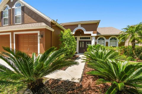 A home in LITHIA