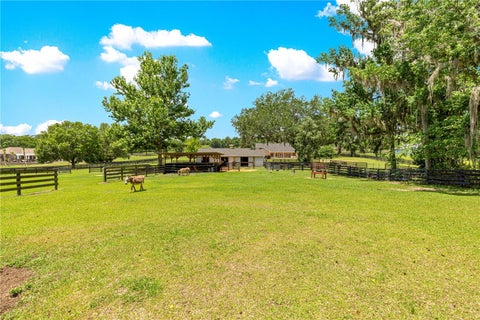 Tiny photo for 9041 SW 14th Avenue, Ocala, FL 34476 (MLS # OM724844)