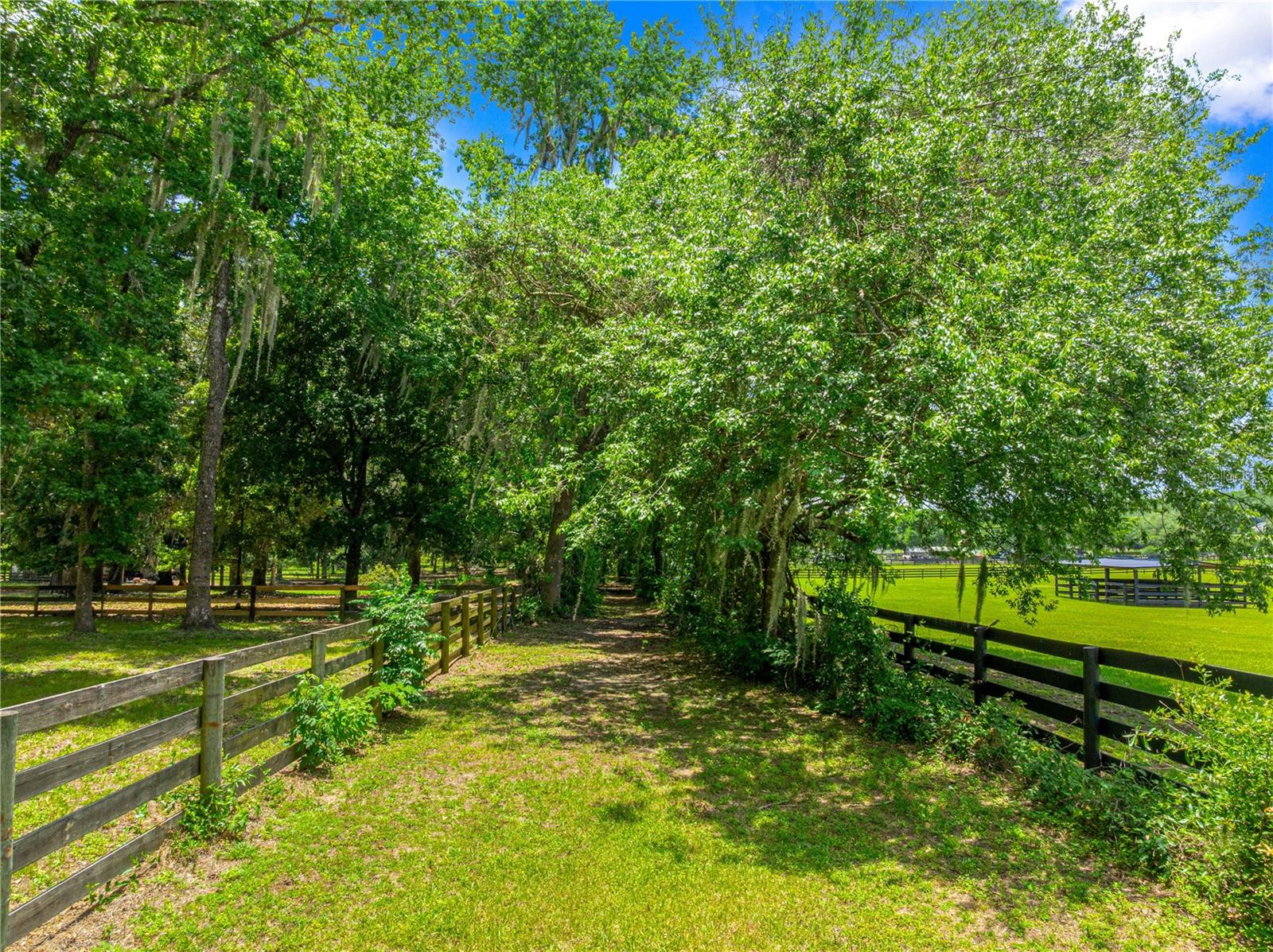 SPRING GROVE - Residential