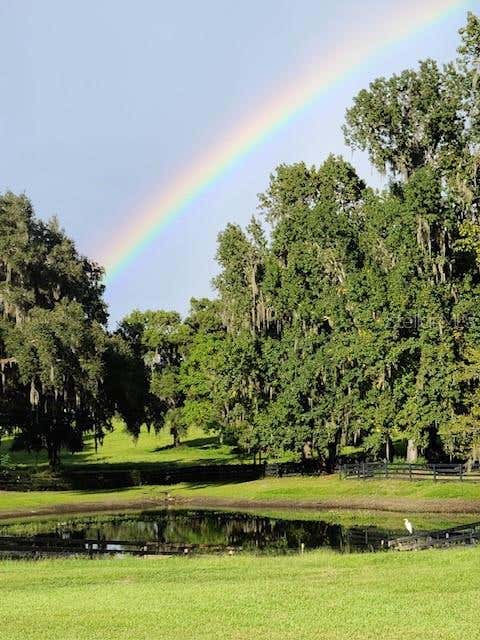 Tiny photo for 9041 SW 14th Avenue, Ocala, FL 34476 (MLS # OM724844)