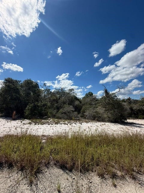 Photo of 244 Dargen Drive, Lake Placid, FL 33852 (MLS # O6452536)