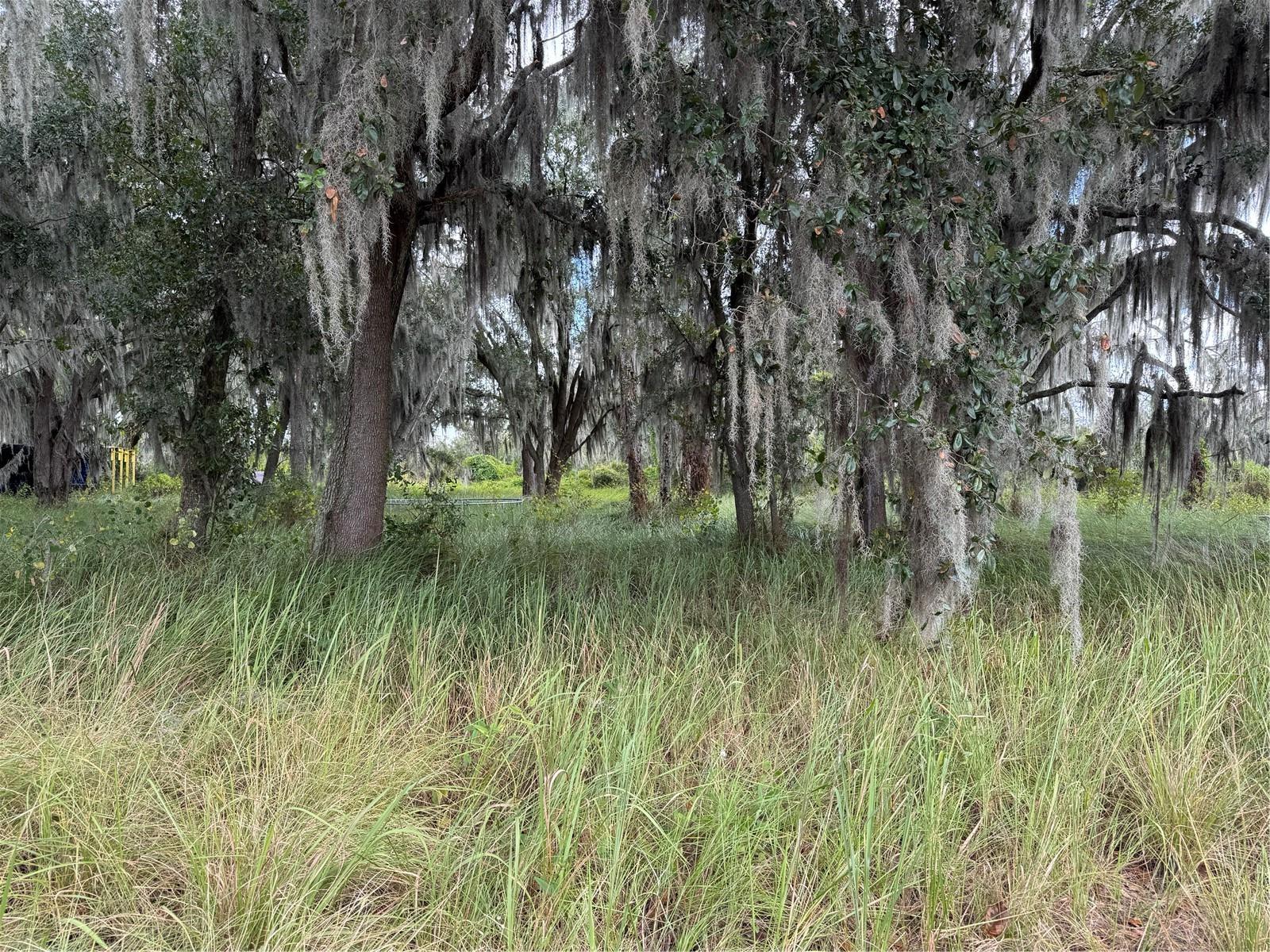 UNPLATTED - Residential