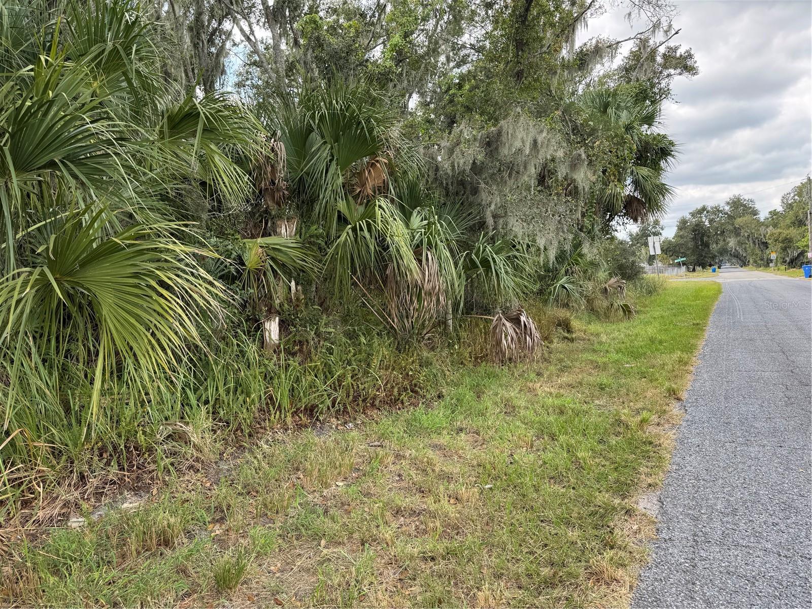 UNPLATTED - Residential