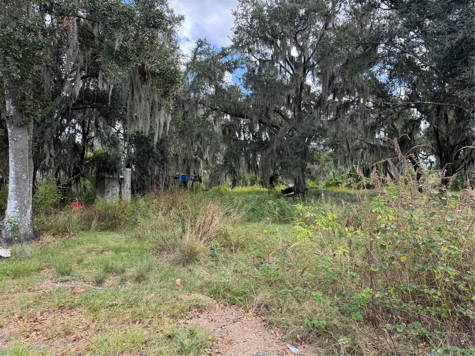 UNPLATTED - Residential