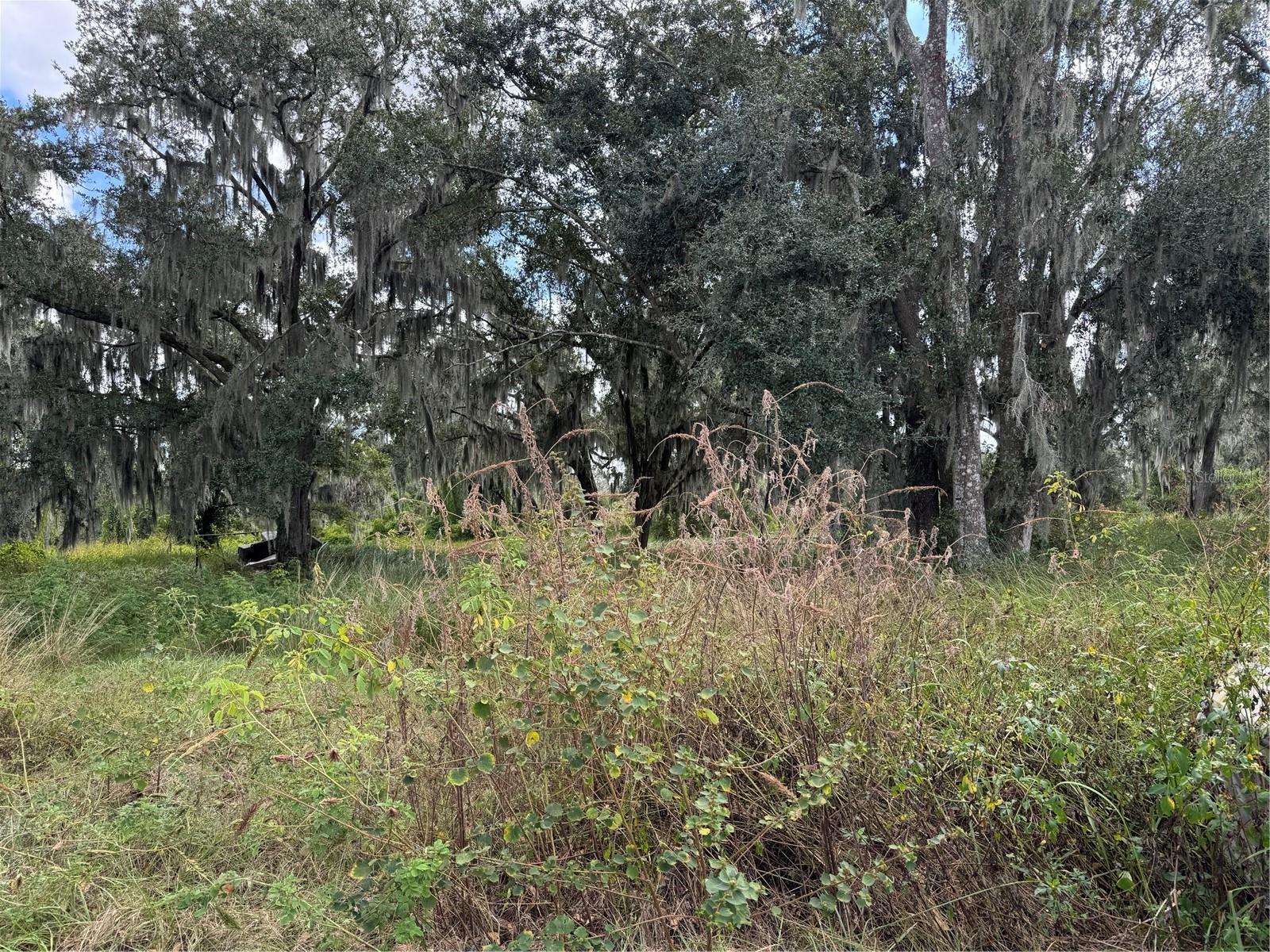 UNPLATTED - Residential