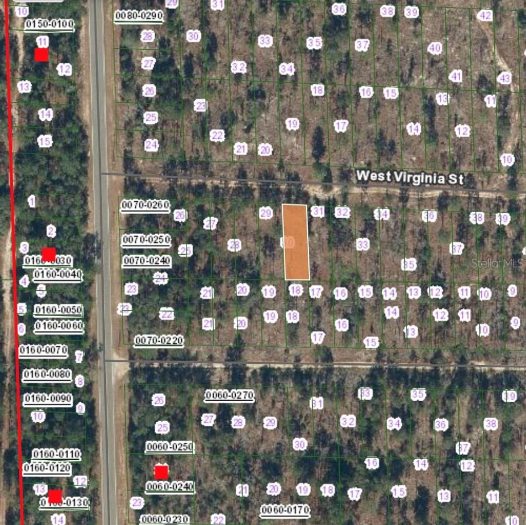 Photo of 127 West Virginia Street, Hawthorne, FL 32640 (MLS # FC315455)