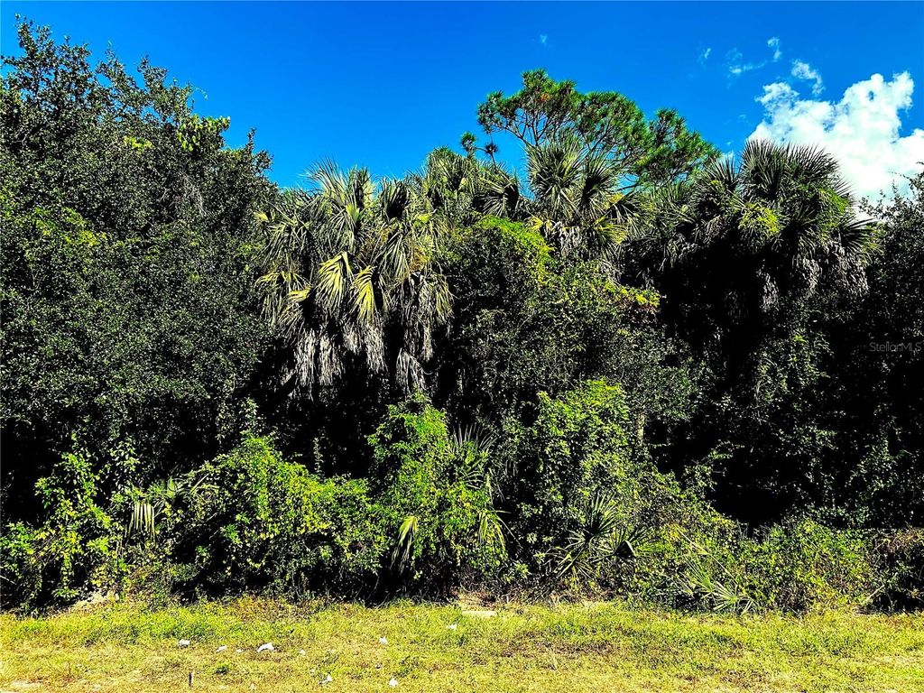 Photo of 1428 Kenesaw Street, Port Charlotte, FL 33948 (MLS # C7516707)