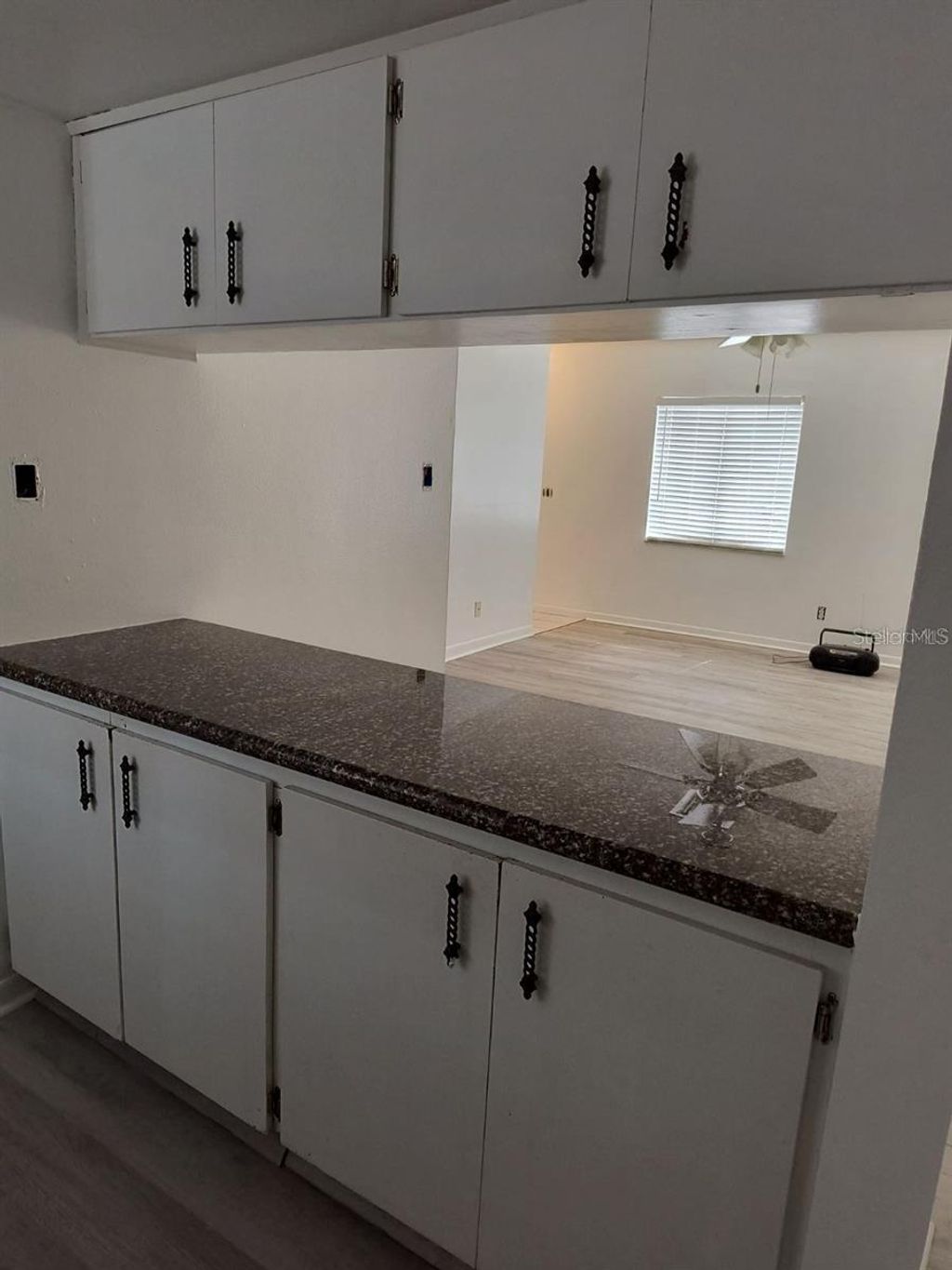 Photo of 2285 Richter Street, Dunedin, FL 34698 (MLS # TB8481648)