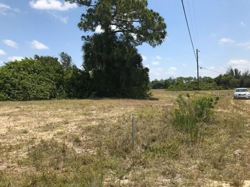 Photo of 215 SW 9th Place, Cape Coral, FL 33991 (MLS # O6406106)