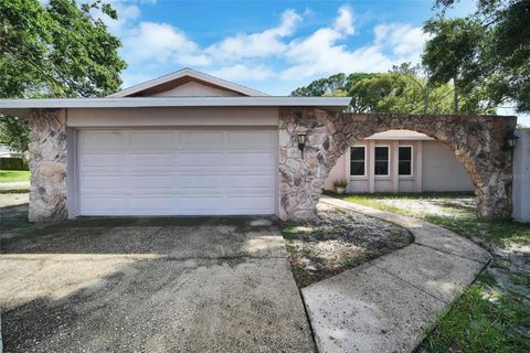 2817 RUSTIC OAKS DRIVE PALM HARBOR FL 34684