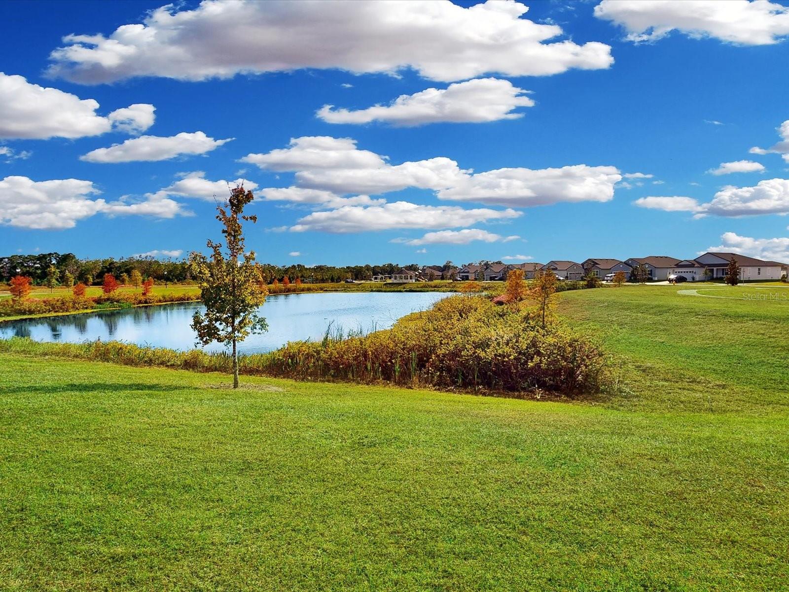 GUM LAKE 50'S - Residential Lease