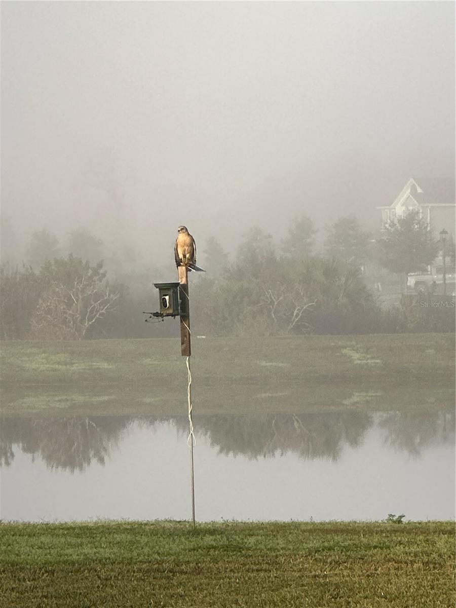 SUNSET PRESERVE PH 4 - Residential