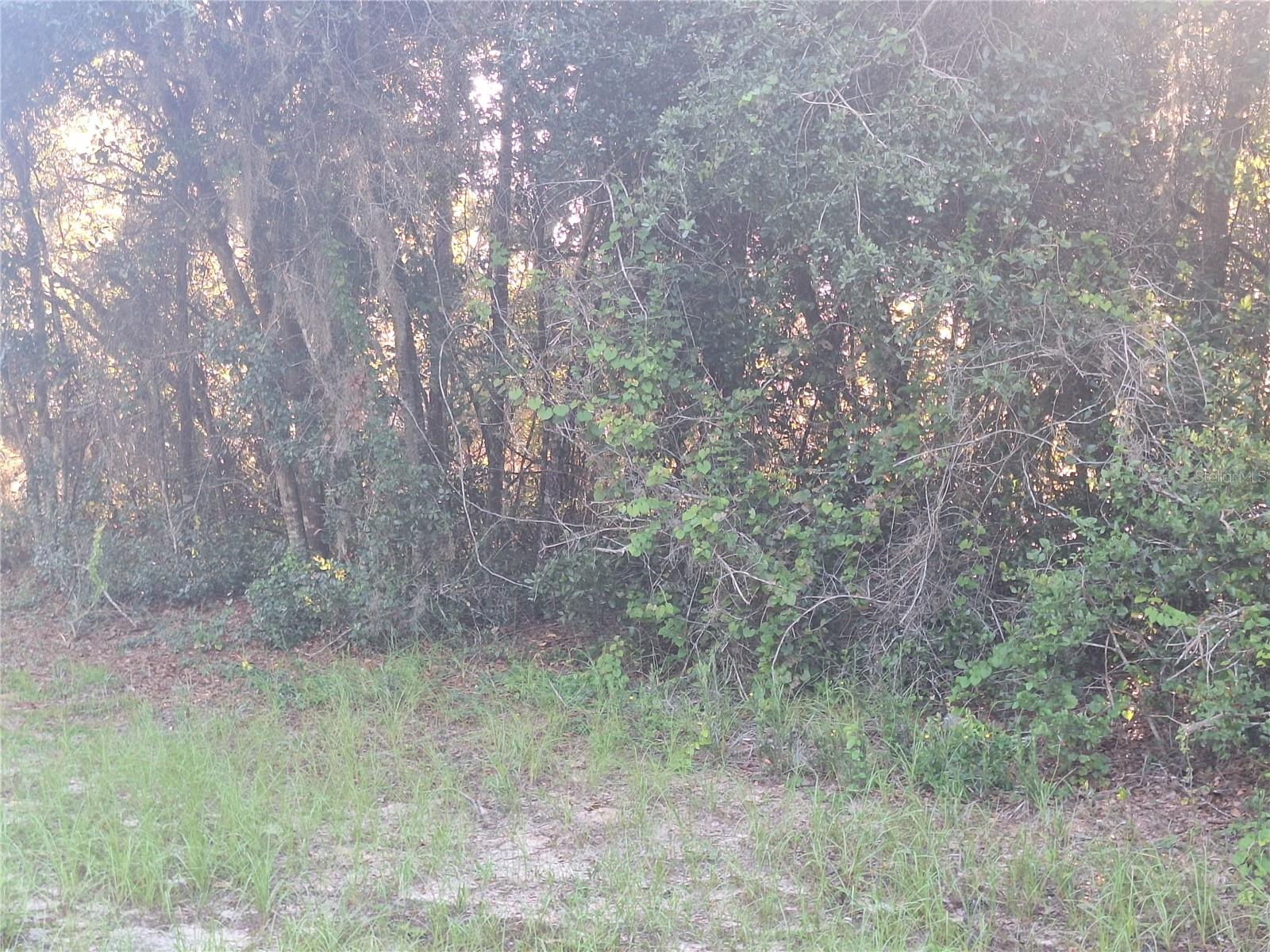 Lakefront property on Cul de Sac can bring solitude and quiet days of watching the sun rise over Lake Butler. Adjacent lot is available for almost 1 acre of beautiful living space.