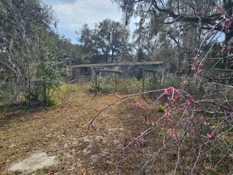 4210 NE 175TH STREET ROAD