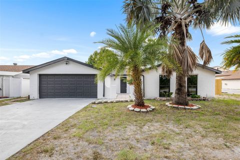 9831 SCENIC DRIVE PORT RICHEY FL 34668