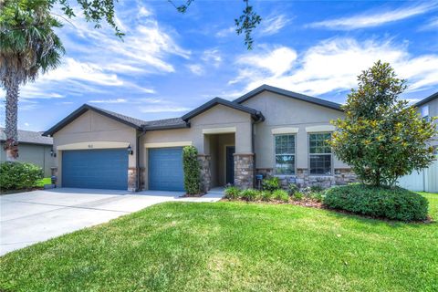 A home in VALRICO