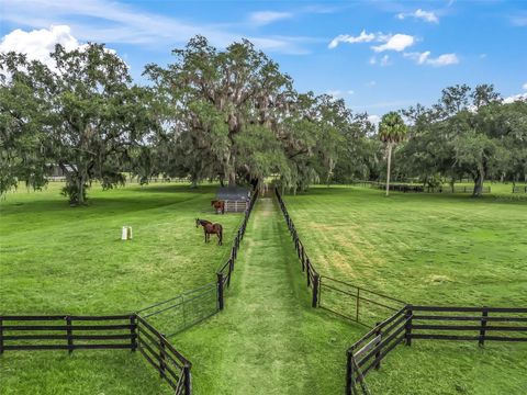 Tiny photo for 11553 NE Highway 315, Fort Mccoy, FL 32134 (MLS # OM714268)