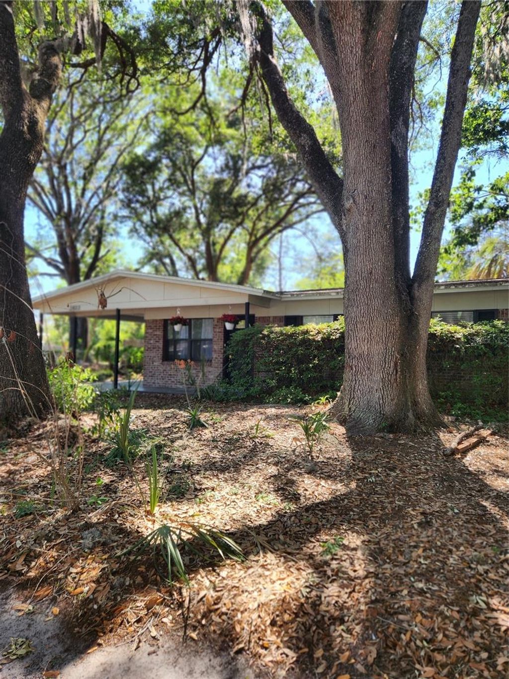 Photo of 2822 NE 16th Drive, Gainesville, FL 32609 (MLS # GC539373)