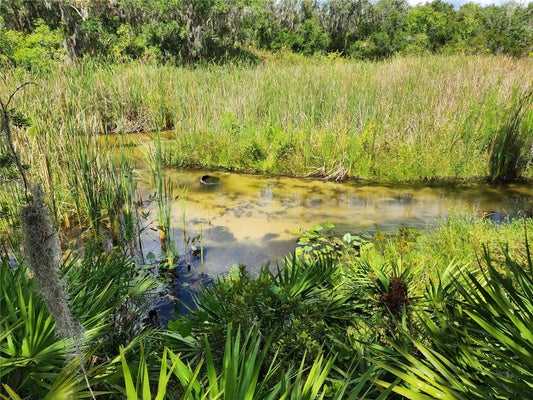 DEER RD, FROSTPROOF, FL 33843 - Image dc4b260f4beec7910afc1652fcbb0a1c/1295360864