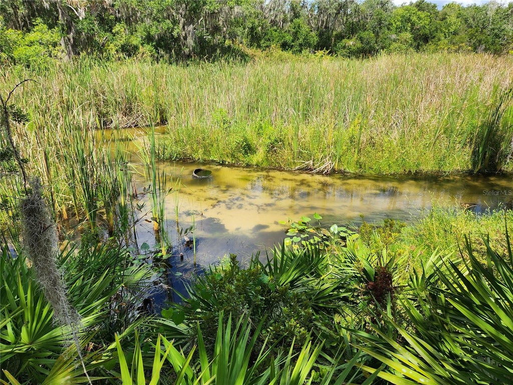 Photo of Deer Road, Frostproof, FL 33843 (MLS # L4964619)