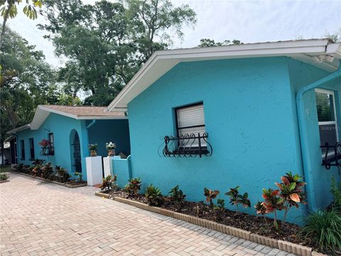 Photo of 717 Carolina Avenue, Tarpon Springs, FL 34689 (MLS # TB8503708)