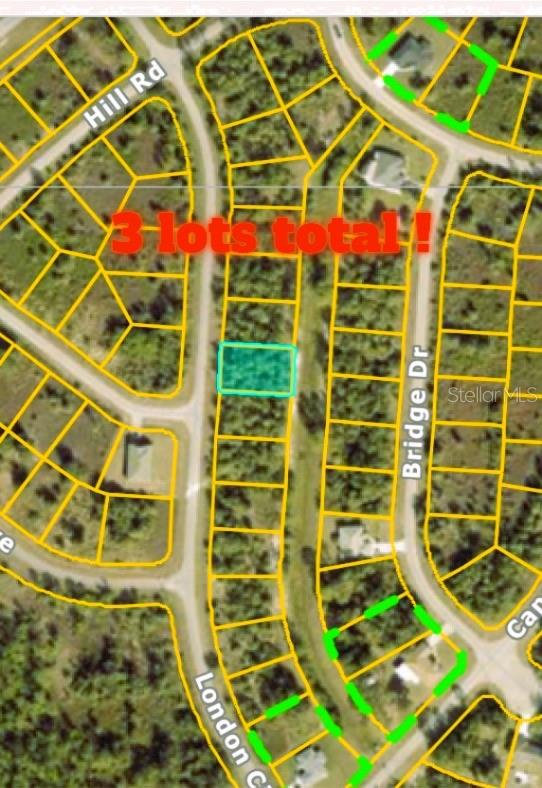 3 Contiguous lots in North Port with a greenbelt view for added privacy. Lots located in the Yorkshire area.