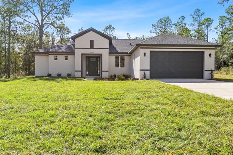 Photo of 13040 Tinamou Avenue, Weeki Wachee, FL 34614 (MLS # TB8448998)
