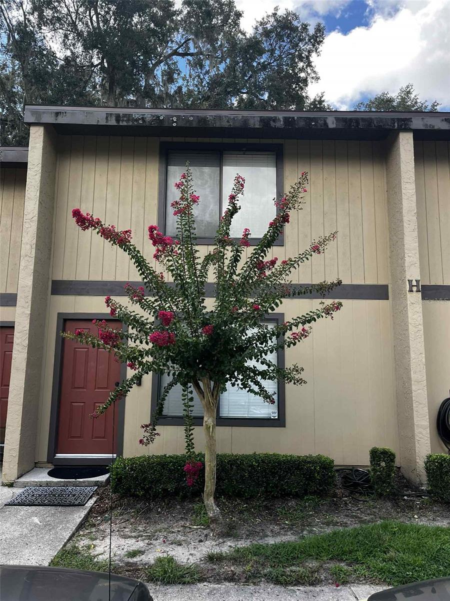 Great SW location by North Butler Plaza, walk to Walmart or to your breakfast cafes! Quick drive to the University of Florida and UF Health as well! Recently painted 2 bedroom and 2.5 bath-unit tucked in the quieter back section, this FURNISHED-unit has been recently painted with new fridge, washer and dryer, new toilets, new water heater, smart switches and a smart thermostat! Kitchen has been updated! Call today for your viewing! Pest control and grounds care by the HOA! Community offers pool and is skip and hop from Forest Park that offers soccer field, Pickleball and basketball courts!